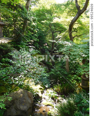 京都琉璃光院 99524609