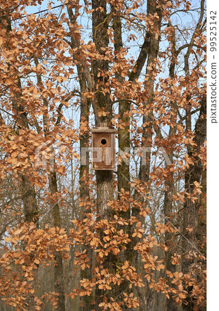 Wooden Bird Cage, Bird House In The Forest 99525142