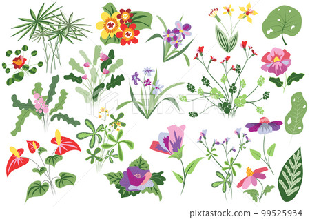 Flower and plants isolated set. Flowering and blooming wildflowers, greenery, wild foliage and other. Summer botanical decor. Bundle of floral elements. Vector illustration in hand drawn design 99525934