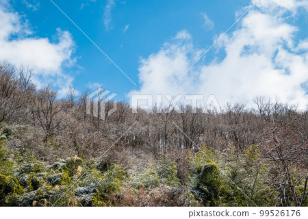 Nagano City Ooka Gentian Highway [winter scenery] 99526176
