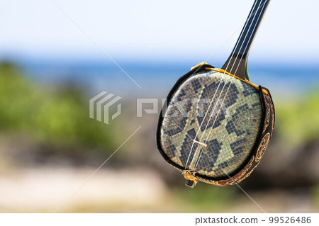 seaside okinawa sanshin 99526486