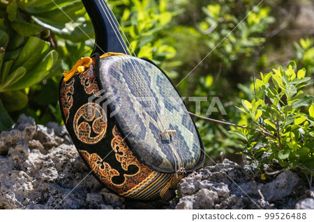 Okinawa Sanshin 99526488