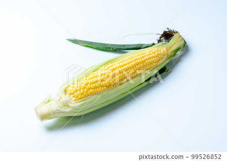 Corn (corn) Corn (corn) 99526852