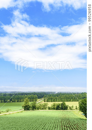 穿過北海道東部斜裡町的糧倉 穿過北海道東部斜裡町的糧倉 99526958