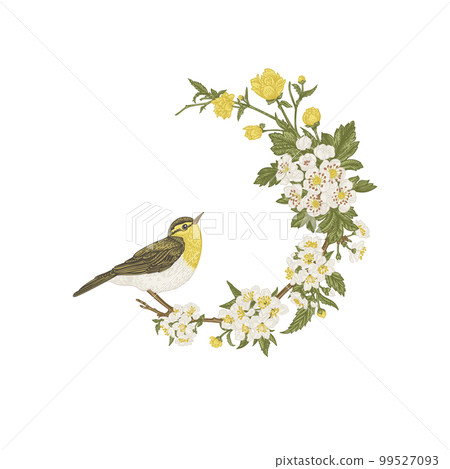 Floral wreath with bird Isolated on a transparent background. Branch with flowering hawthorn and cherry. Vintage. Botanical label. Vintage illustration. Colorful. 99527093