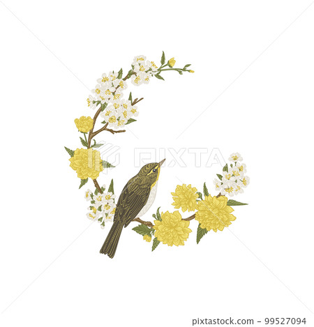 Floral wreath with bird Isolated on a transparent background. Blooming garden branches of cherry and kerrias. Botanical illustration. Frame with yellow and white flowers and willow warbler. 99527094