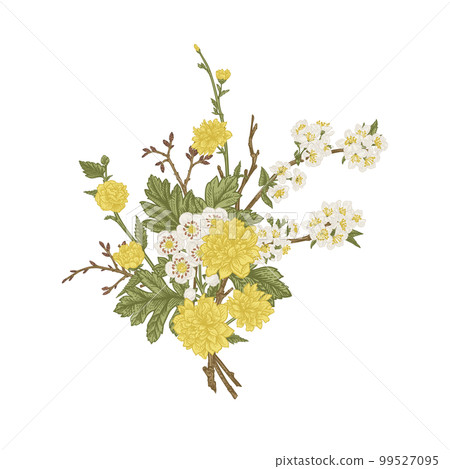 Spring bouquet with blossoming branches of fruit trees isolated on a transparent background. Vintage style. Kerria Japanese, cherry, hawthorn. 99527095