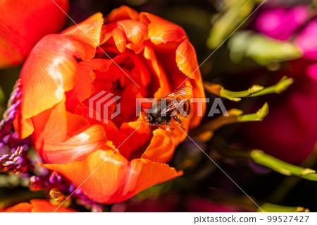 Different flowers and seedlings near the florist flower shop entrance, spring time, easter concept Different flowers and seedlings near the florist flower shop entrance, spring time, easter concept 99527427