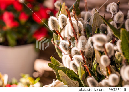 Willow shoots with on the branches, fluffy willow flowers. Palm Sunday. Selective focus. Easter concept, natural awakening in the spring. Willow shoots with on the branches, fluffy willow flowers. Palm Sunday. Selective focus. Easter concept, natural awakening in the spring. 99527446
