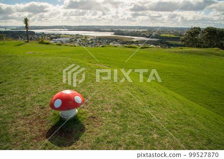 'Mushrooms' on top of Takarunga (Mount Victoria) in Devonport, which are in fact vents for a water pumping station, North Island, New Zealand. 'Mushrooms' on top of Takarunga (Mount Victoria) in Devonport, which are in fact vents for a water pumping station, North Island, New Zealand. 99527870