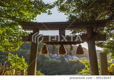 Shimenawa and shide, on torii gate to shrine, Kanazawa, Japan. 99528047