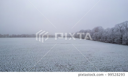 Aerial drone picture of a winter cloudy day over a snow covered fields. Winter dull day. 99528293