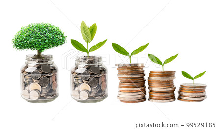 Tree plumule leaf on save money coins, Business finance saving banking investment concept. Tree plumule leaf on save money coins, Business finance saving banking investment concept. 99529185