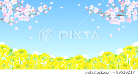 Sakura and rape blossoms cherry blossoms blue sky 99529217
