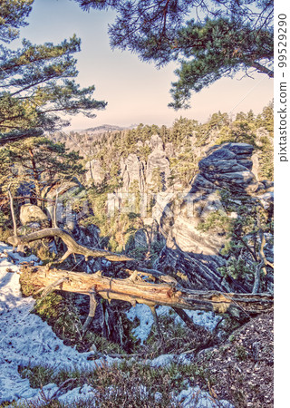 Sandstone rock formations at Prachov rocks in Cesky Raj region, Czech Republic 99529290