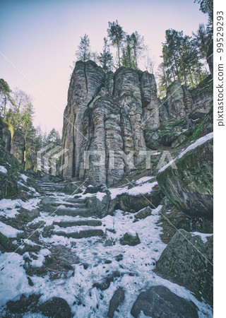 Sandstone rock formations at Prachov rocks in Cesky Raj region, Czech Republic 99529293