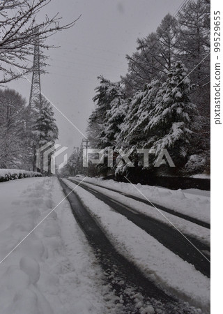 Snow-covered road  99529655