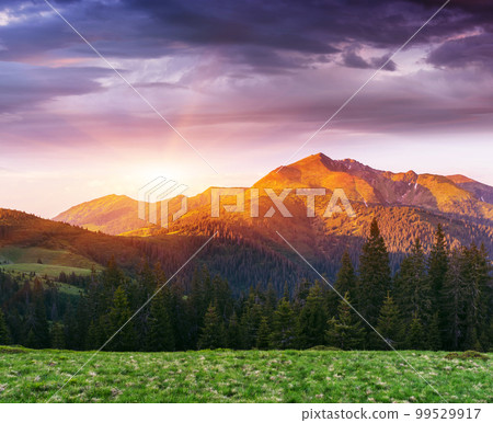 Summer landscape with a beautiful sunrise in the mountains Summer landscape with a beautiful sunrise in the mountains 99529917