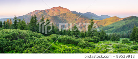 Summer landscape in the mountains with a beautiful sunrise Summer landscape in the mountains with a beautiful sunrise 99529918