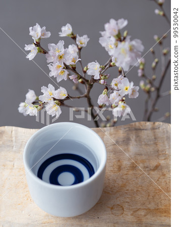 桜❀ページ Cherry blossom viewing with sake - Stock Photo [99530042