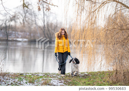 girl with her dog on a walk by the lake in nature. english setter girl with her dog on a walk by the lake in nature. english setter 99530683