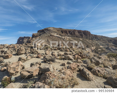 Peak Alto de Guajara volcano with lava rock boulders and dry vegetation, view at hiking trail to the summit. Colorful dry volcanic scenic landscape at national park of Teide, Tenerife, Canary Islands. Peak Alto de Guajara volcano with lava rock boulders and dry vegetation, view at hiking trail to the summit. Colorful dry volcanic scenic landscape at national park of Teide, Tenerife, Canary Islands. 99530984