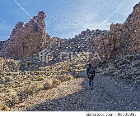 Man hiker at dirt road, trail to peak Alto de Guajara. Limestone rock formations, lava and dry vegetation at colorful dry volcanic scenic landscape at national park of Teide, Tenerife, Canary Islands. Man hiker at dirt road, trail to peak Alto de Guajara. Limestone rock formations, lava and dry vegetation at colorful dry volcanic scenic landscape at national park of Teide, Tenerife, Canary Islands. 99530985