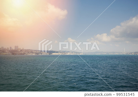 Panorama of. Bosphorus in Istanbul Panorama of. Bosphorus in Istanbul 99531545