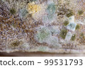 Moldy bread. Close-up view. Selective focus. 99531793