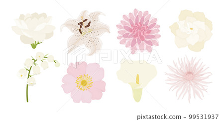 Set of colorful blooming flowers illustration. 99531937