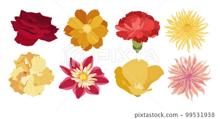 Set of colorful blooming flowers illustration. Set of colorful blooming flowers illustration. 99531938