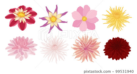 Set of colorful blooming flowers illustration. Set of colorful blooming flowers illustration. 99531940