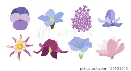 Set of colorful blooming flowers illustration. Set of colorful blooming flowers illustration. 99531943