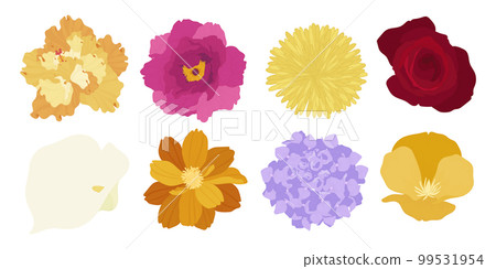 Set of colorful blooming flowers illustration. Set of colorful blooming flowers illustration. 99531954