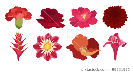 Set of colorful blooming flowers illustration. Set of colorful blooming flowers illustration. 99531955