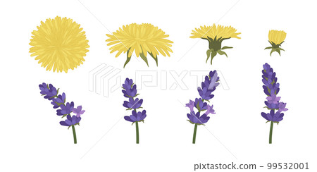 Set of colorful blooming flowers illustration. 99532001