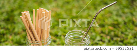 Steel drinking vs disposable straws on grass background. Zero waste concept BANNER, LONG FORMAT Steel drinking vs disposable straws on grass background. Zero waste concept BANNER, LONG FORMAT 99532581
