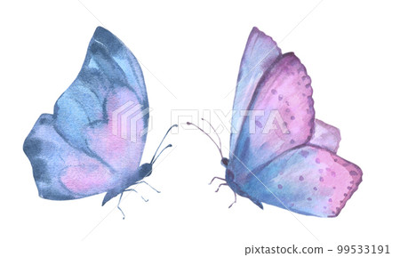 A set of delicate cute blue and lilac butterflies. Watercolor illustration isolated objects on a white background. For decoration, design of romantic, wedding events, textiles, poscards, card making A set of delicate cute blue and lilac butterflies. Watercolor illustration isolated objects on a white background. For decoration, design of romantic, wedding events, textiles, poscards, card making 99533191
