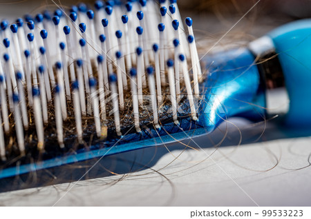Selective focus on bristles of a hairbrush with tangled hair Selective focus on bristles of a hairbrush with tangled hair 99533223