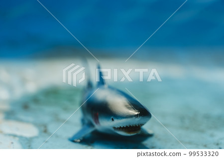 Great white shark plastic toy in an empty swimming pool Great white shark plastic toy in an empty swimming pool 99533320