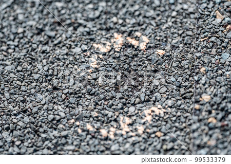 Macro of hail damage on a shingle residential roof circled with a chalk outline during a home inspection. 99533379