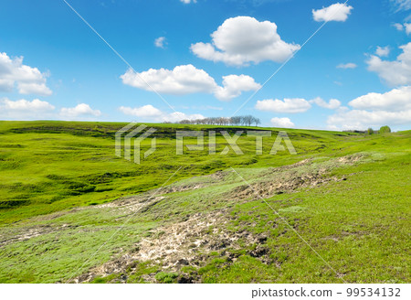 Large ravine on agricultural land. 99534132