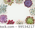 Frame of colorful succulents, free space for text 99534217