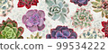 Banner, cover from colorful succulents 99534222