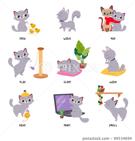 Learning Verbs of Action with Grey Cat Pet Vector Set Learning Verbs of Action with Grey Cat Pet Vector Set 99534694