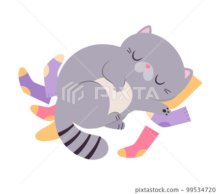 Cute Cat with Grey Coat Lying on Socks and Sleeping Vector Illustration 99534720