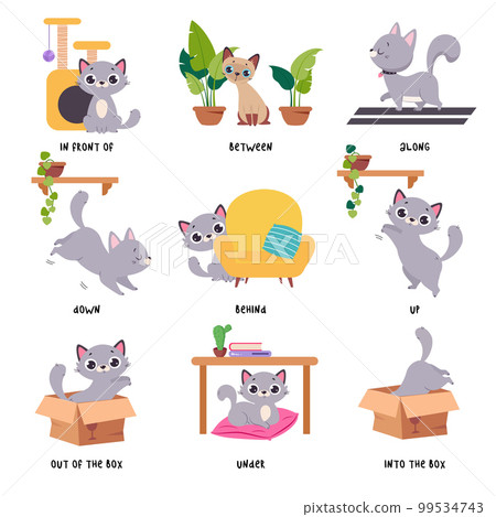 Cute Grey Cat Demonstrating Prepositions with Different Object Vector Set Cute Grey Cat Demonstrating Prepositions with Different Object Vector Set 99534743
