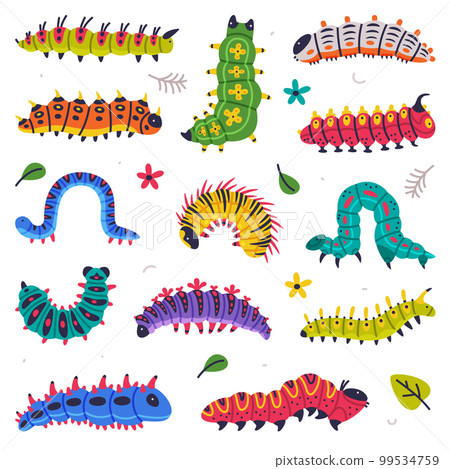Bright Caterpillars as Larval Stage of Insect Crawling and Creeping Vector Set 99534759
