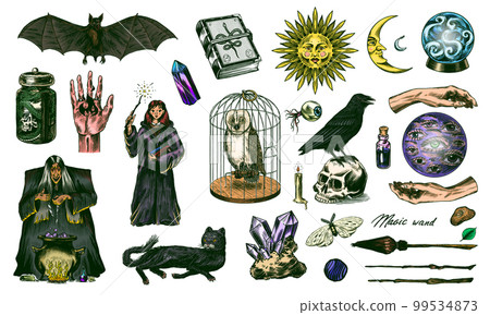 Witch brews a potion in a cauldron. Magic ball, book of spells, black cat, beldam and sorcery, Crow Witch brews a potion in a cauldron. Magic ball, book of spells, black cat, beldam and sorcery, Crow 99534873