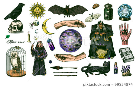 Witch brews a potion in a cauldron. Magic ball, book of spells, black cat, beldam and sorcery, Crow Witch brews a potion in a cauldron. Magic ball, book of spells, black cat, beldam and sorcery, Crow 99534874